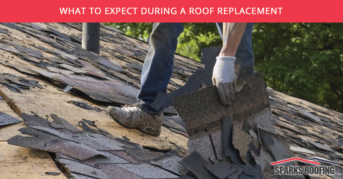 What-to-Expect-During-a-Roof-Replacement-59fb28e2ac2e0