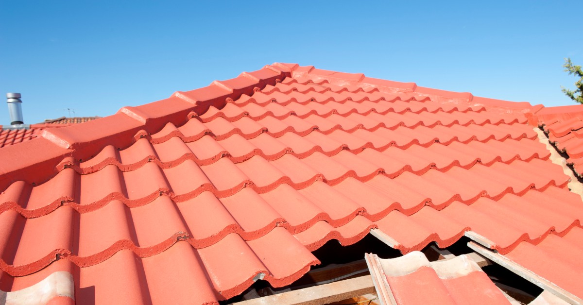 dreamstime-xxl-28999339-1-5d489b1b24a32