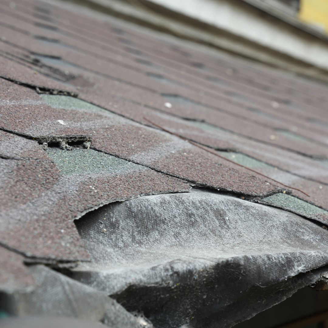 water damaged shingles
