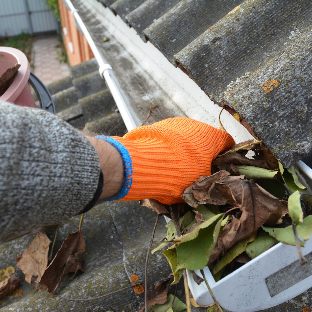 Cleaning leaves out of gutter