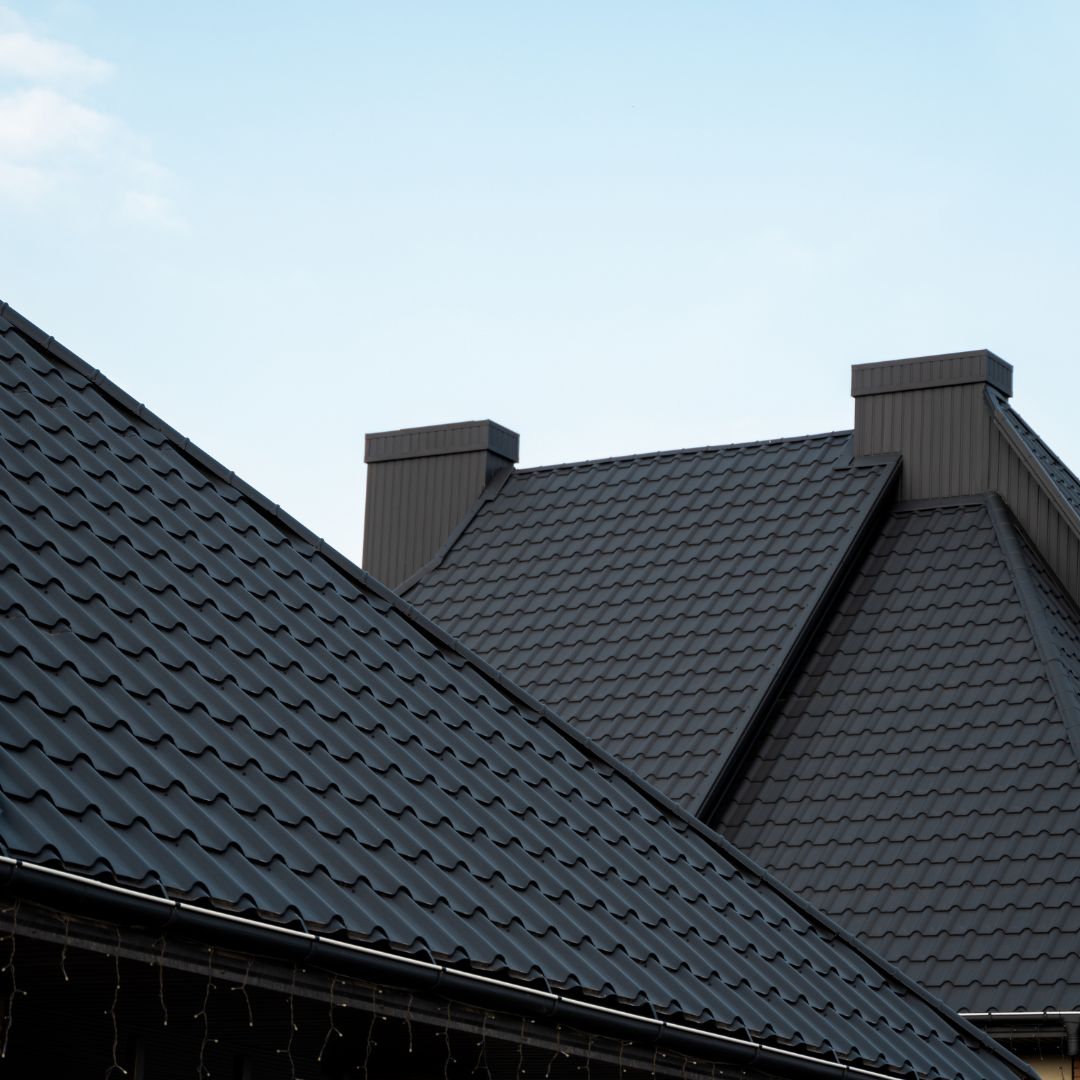 Metal roof and chimneys