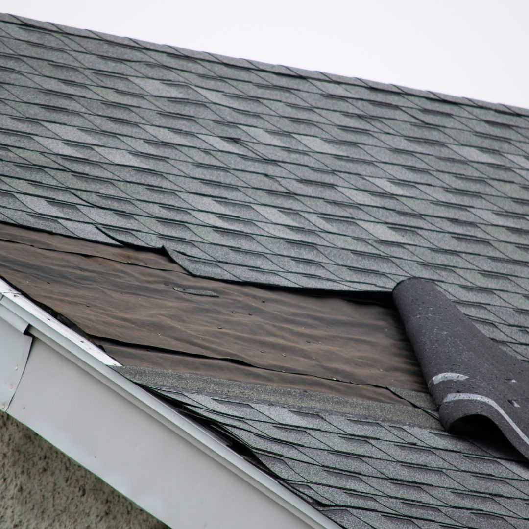 A roof with worn shingles