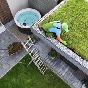 green roof